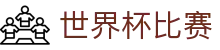 世界杯比赛世界杯专题 - 波黑对瑞士、韩国对捷克赛程比分与直播资讯